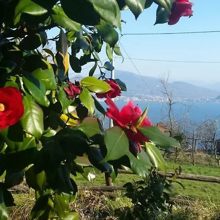 Casa Madama شقة كانيرو ريفييرا