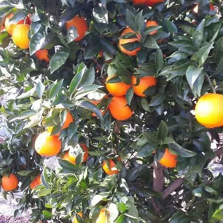 شقة Casa Madama *